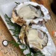 ヒメ日記 2025/03/31 19:35 投稿 なる 愛知弥富ちゃんこ