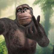 ヒメ日記 2025/03/31 22:01 投稿 なる 愛知弥富ちゃんこ