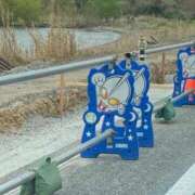 ヒメ日記 2025/04/24 11:02 投稿 なる 愛知弥富ちゃんこ