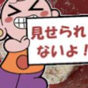 ヒメ日記 2025/05/31 13:43 投稿 なる 愛知弥富ちゃんこ
