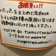 ヒメ日記 2025/06/30 14:41 投稿 なる 愛知弥富ちゃんこ