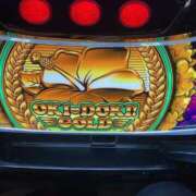 ヒメ日記 2025/06/30 17:01 投稿 なる 愛知弥富ちゃんこ