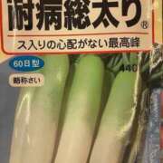 ヒメ日記 2025/08/29 16:17 投稿 なる 愛知弥富ちゃんこ
