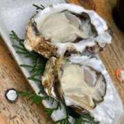 ヒメ日記 2025/09/29 21:01 投稿 なる 愛知弥富ちゃんこ