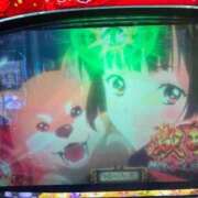 ヒメ日記 2025/09/30 13:02 投稿 なる 愛知弥富ちゃんこ