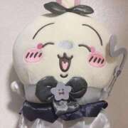 ヒメ日記 2025/10/07 10:41 投稿 なる 愛知弥富ちゃんこ