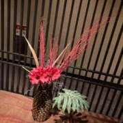 ヒメ日記 2025/10/08 00:00 投稿 なる 愛知弥富ちゃんこ