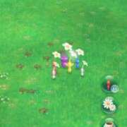 ヒメ日記 2025/10/16 14:21 投稿 なる 愛知弥富ちゃんこ