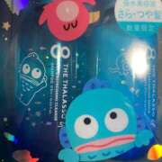 ヒメ日記 2025/11/22 21:11 投稿 なる 愛知弥富ちゃんこ