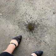 ヒメ日記 2025/11/29 16:02 投稿 なる 愛知弥富ちゃんこ