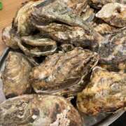 ヒメ日記 2025/12/09 21:01 投稿 なる 愛知弥富ちゃんこ