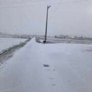 ヒメ日記 2025/12/10 23:11 投稿 なる 愛知弥富ちゃんこ