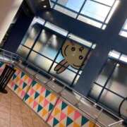 ヒメ日記 2026/02/01 00:01 投稿 なる 愛知弥富ちゃんこ