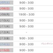 ヒメ日記 2026/02/07 15:19 投稿 なる 愛知弥富ちゃんこ