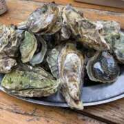 ヒメ日記 2026/02/13 17:11 投稿 なる 愛知弥富ちゃんこ