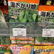 ヒメ日記 2026/02/21 23:01 投稿 なる 愛知弥富ちゃんこ