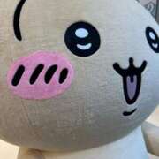 ヒメ日記 2026/03/08 20:03 投稿 なる 愛知弥富ちゃんこ