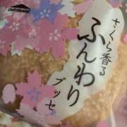 ヒメ日記 2026/03/14 18:01 投稿 なる 愛知弥富ちゃんこ