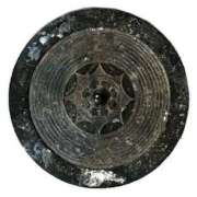 ヒメ日記 2026/03/27 15:51 投稿 なる 愛知弥富ちゃんこ