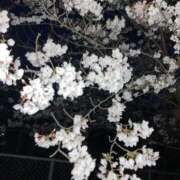 ヒメ日記 2026/03/29 23:31 投稿 なる 愛知弥富ちゃんこ