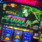 ヒメ日記 2026/03/30 14:21 投稿 なる 愛知弥富ちゃんこ