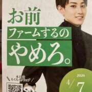 ヒメ日記 2026/04/08 14:10 投稿 なる 愛知弥富ちゃんこ