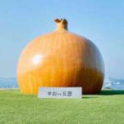 ヒメ日記 2026/04/25 20:31 投稿 なる 愛知弥富ちゃんこ