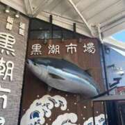 ヒメ日記 2026/07/20 15:21 投稿 なる 愛知弥富ちゃんこ