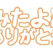 ヒメ日記 2026/08/02 16:31 投稿 なる 愛知弥富ちゃんこ