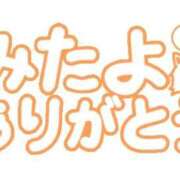 ヒメ日記 2026/08/22 15:21 投稿 なる 愛知弥富ちゃんこ