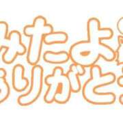 ヒメ日記 2026/08/28 16:41 投稿 なる 愛知弥富ちゃんこ