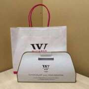 ヒメ日記 2025/04/29 17:15 投稿 沢田シエル 全裸の極みorドッキング痴漢電車