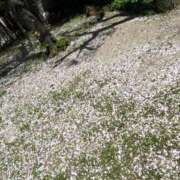 ヒメ日記 2026/04/09 10:35 投稿 けいと 奥様の実話 梅田店