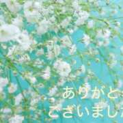 ヒメ日記 2026/09/16 07:07 投稿 けいと 奥様の実話 梅田店