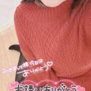 ヒメ日記 2025/11/16 17:10 投稿 のあ 愛知三河安城岡崎ちゃんこ