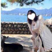 ヒメ日記 2025/11/24 13:51 投稿 りこ ぽちゃSPA