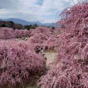 ヒメ日記 2025/03/22 18:30 投稿 ゆうひ 奥様の実話 梅田店