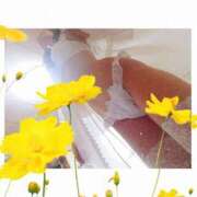 ヒメ日記 2025/05/07 10:29 投稿 ゆうひ 奥様の実話 梅田店