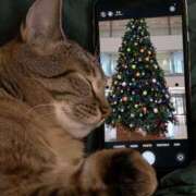 ゆうひ 出勤しました✨。 奥様の実話 梅田店