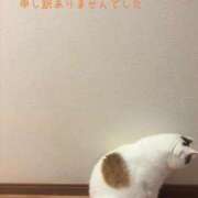 ヒメ日記 2026/02/08 09:44 投稿 ゆうひ 奥様の実話 梅田店