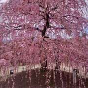 ヒメ日記 2026/03/02 18:16 投稿 ゆうひ 奥様の実話 梅田店