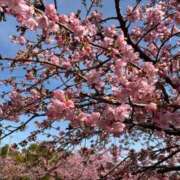 ヒメ日記 2026/03/07 10:44 投稿 ゆうひ 奥様の実話 梅田店