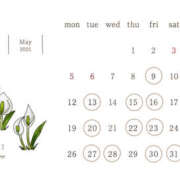 ヒメ日記 2025/05/08 08:12 投稿 玲 琥珀（こはく）