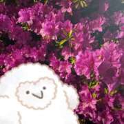 ヒメ日記 2025/05/05 07:14 投稿 たえ おねだり！ココナッツ