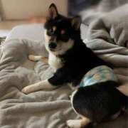 ヒメ日記 2024/12/21 22:21 投稿 なずな♡ Q-STORY