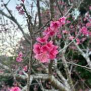 ヒメ日記 2025/03/01 13:29 投稿 かなた Lesson.1沖縄校