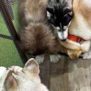 ヒメ日記 2025/06/18 10:25 投稿 ねお 池袋マリン本店