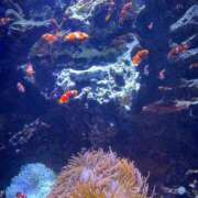 ヒメ日記 2025/11/02 12:23 投稿 ちづる 多恋人 新宿店