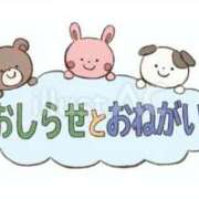 ヒメ日記 2025/11/02 20:25 投稿 やよい 小田原人妻城