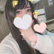 ヒメ日記 2026/04/17 19:00 投稿 れいら ソープランド AQUA（アクア）